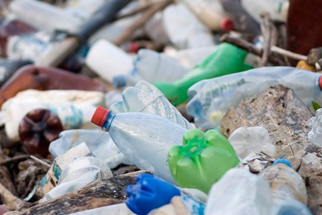 landfill