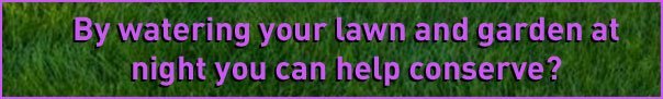 lawn 