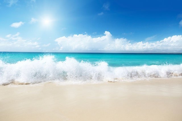 marine biome