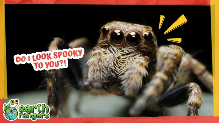 These Spooky Animals Aren’t Scary…They Promise!