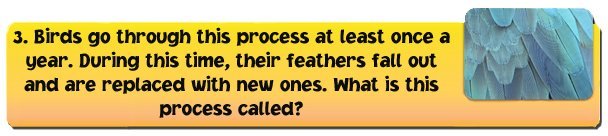 moulting-1