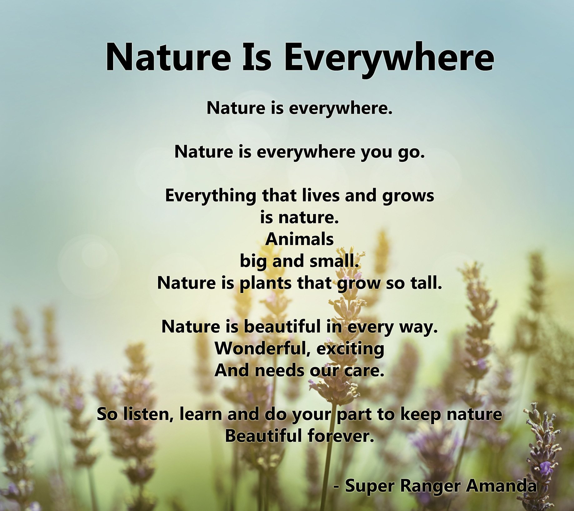 nature_is_everywhere