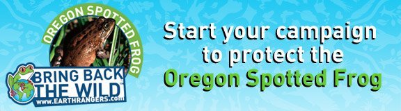 Start your campaign to protect the Oregon Spotted Frog