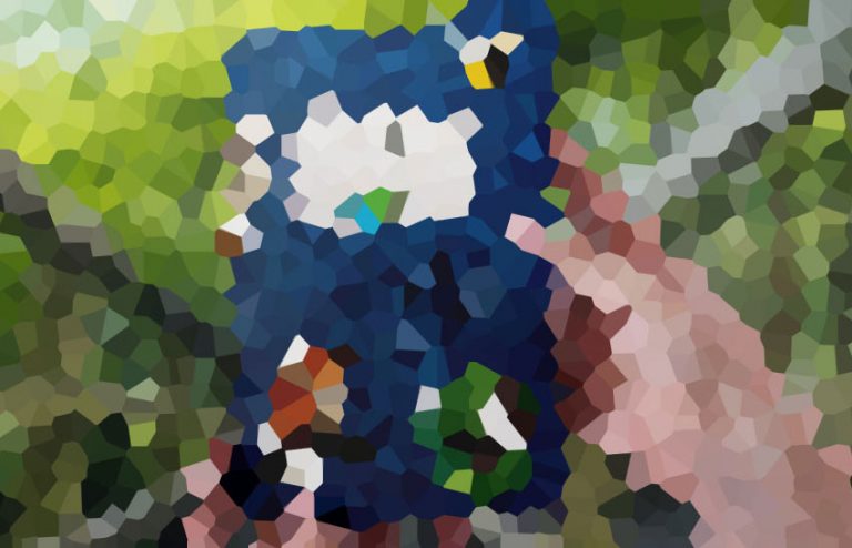 Pixel Puzzler Special Edition:  The Great Reveal