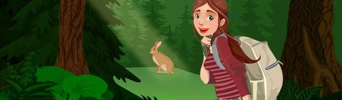 Podcast Episode 5: Migrating Monarchs, and Hare Camouflage