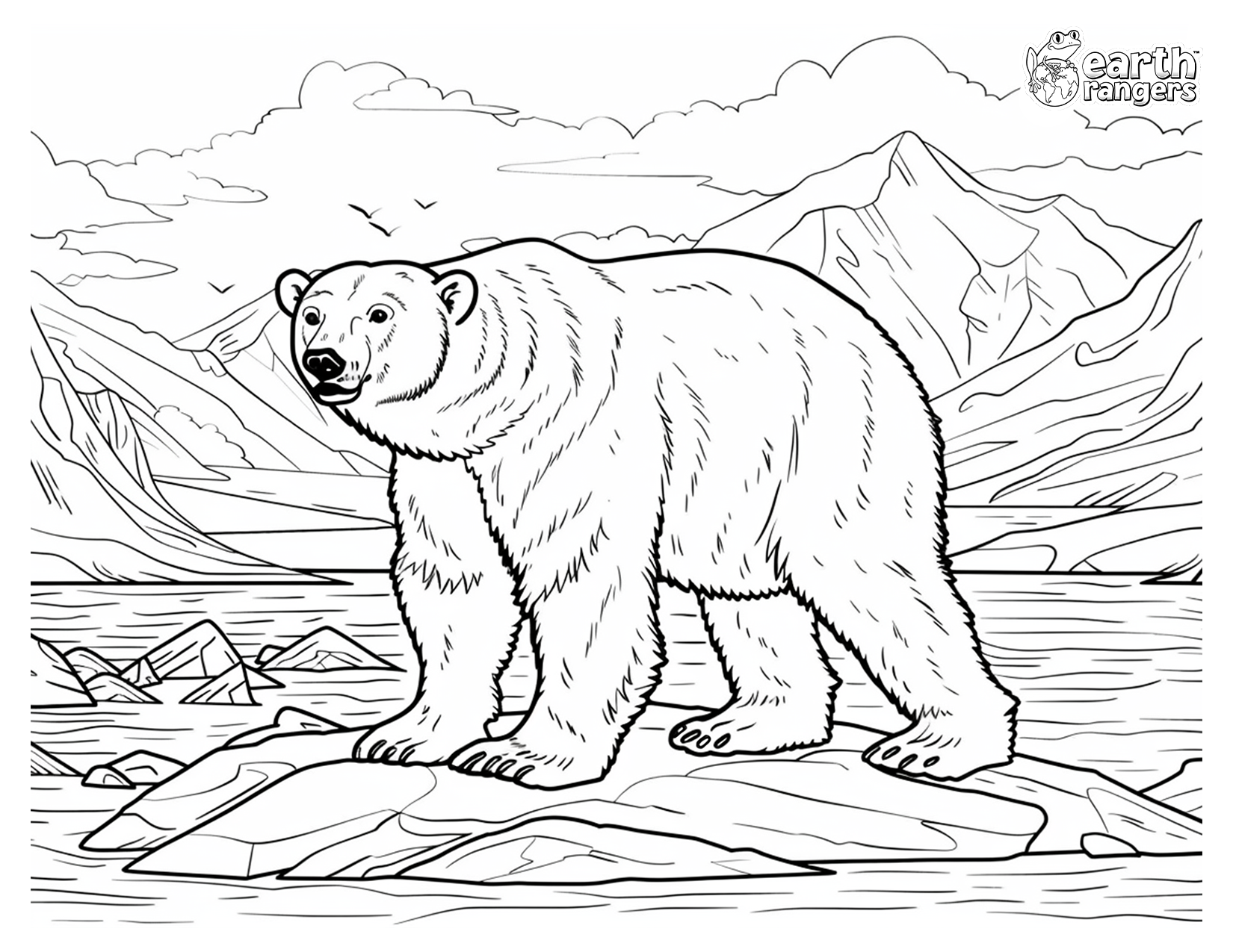 polarbear colouringpage