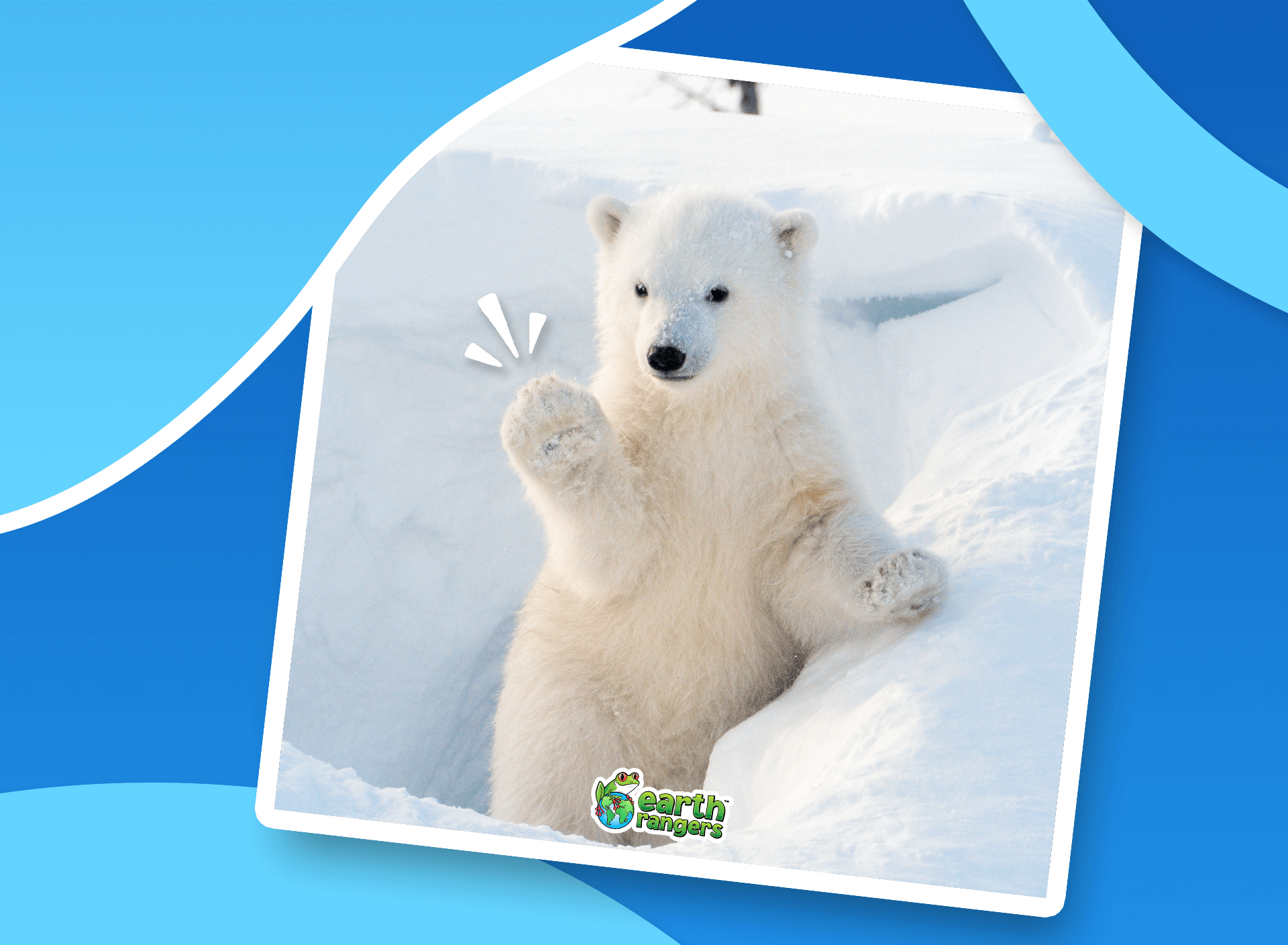 polarbearwallpaper-tablet (1)