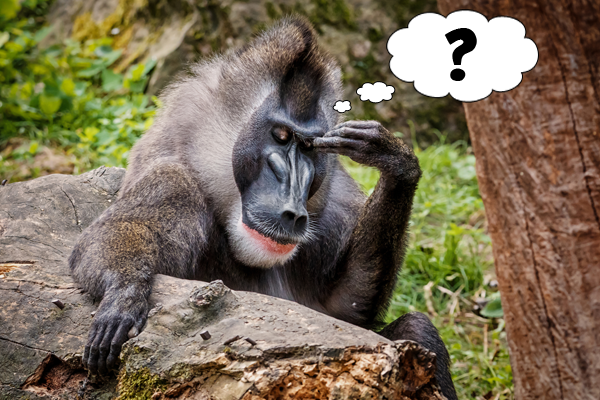 Caption This! What’s This Drill Thinking?