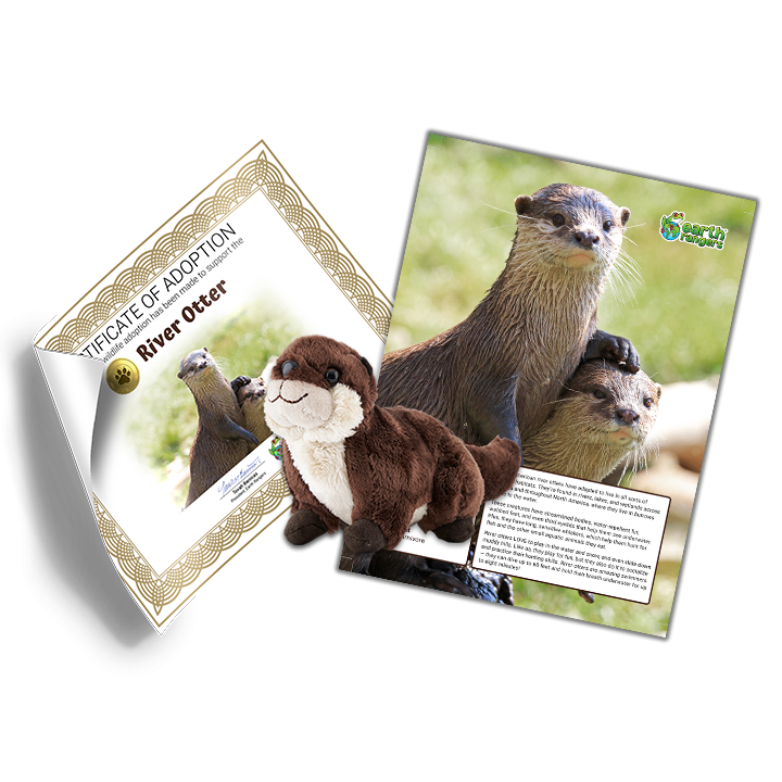 River Otter
