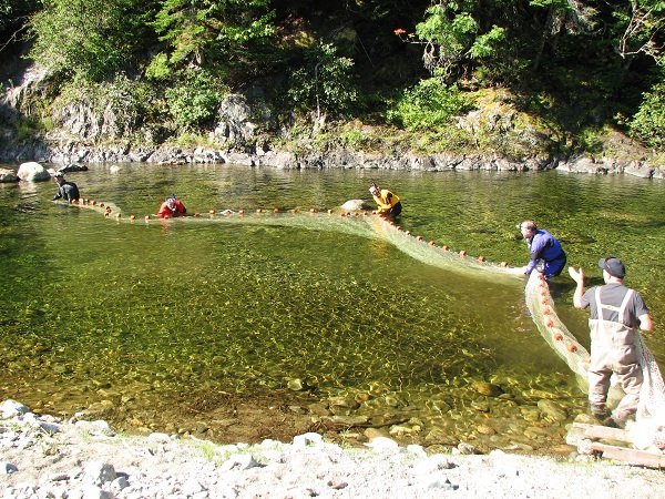 salmon_conservation_parks_canada