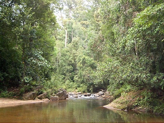 sinharaja