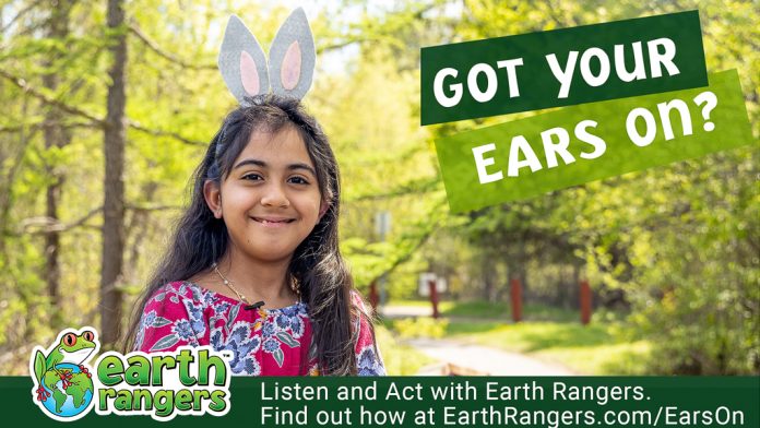 New Earth Rangers Research on Eco-Anxiety