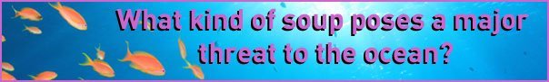 soup
