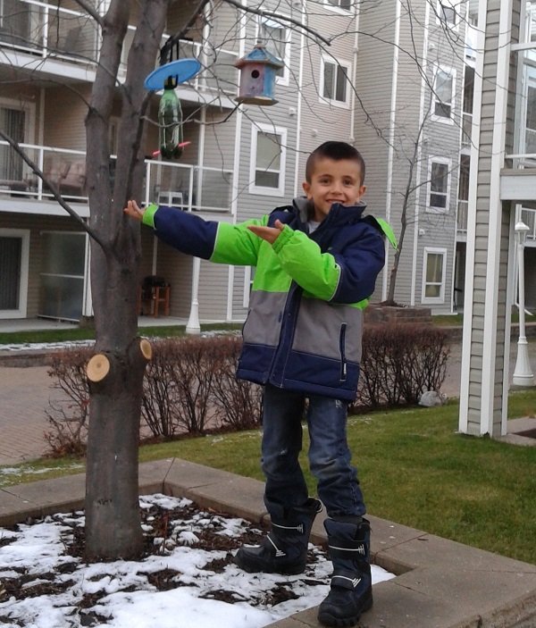 kid bird feeder