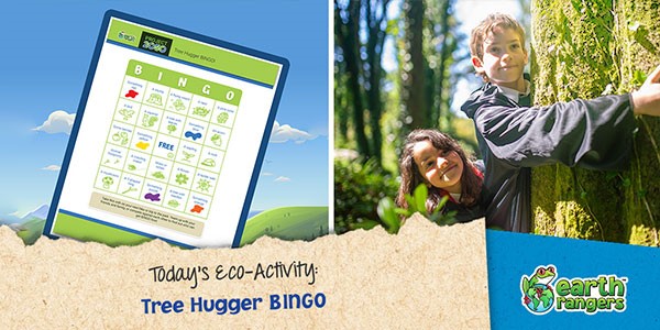 Tree Hugger BINGO