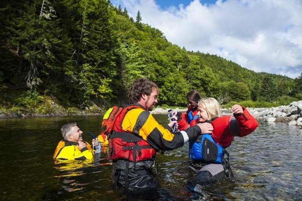 volunteer swim with salmon