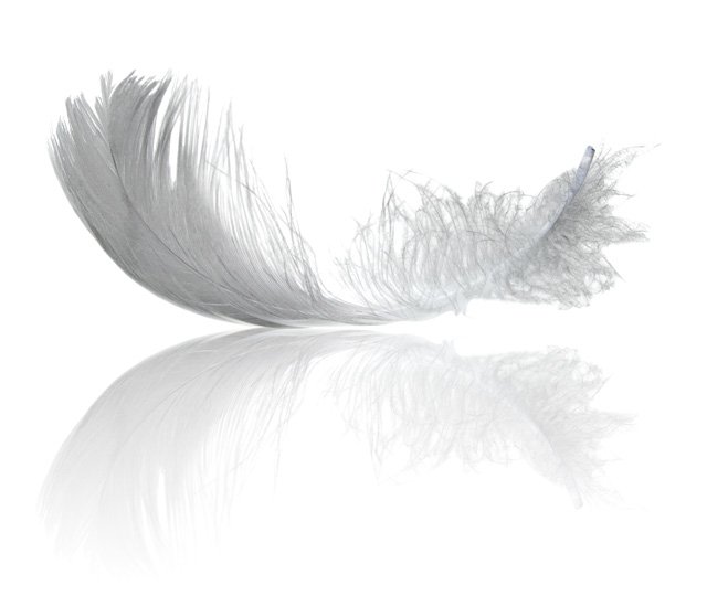 white feather (small)