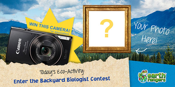 Enter the Backyard Biologist Contest