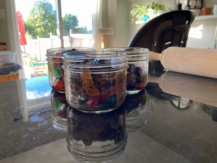 worms-in-dirt-finalproduct-small