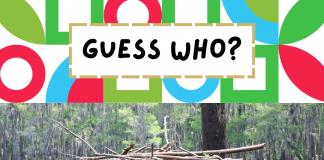 Guess Our First New Adoptable Animal!