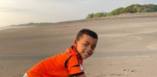 The Sea Turtle Project