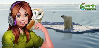 Podcast: Introducing The Big Melt