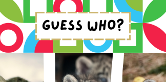 Guess Our Fourth Adoptable Animal!