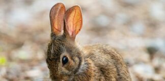 Help the planet, one bite at a time!