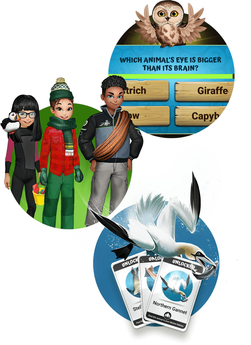 App Features App Features