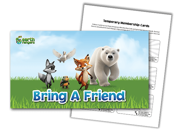 BAF-brief-card-preview