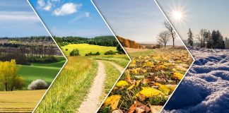 Ultimate Season Showdown!