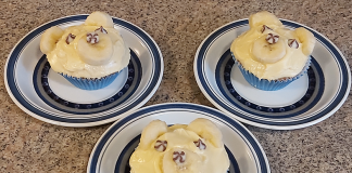 Beary Cute Cupcakes