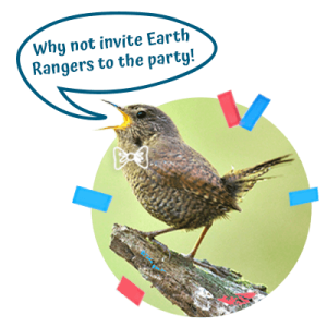 Bird-Graphic-Echoage-Website-1