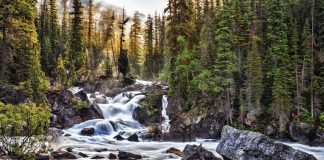 I Spy Animals Answers