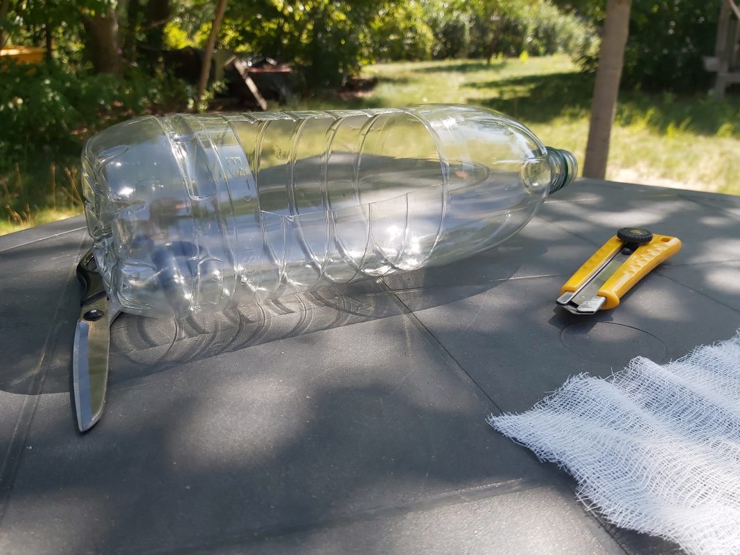 Bug Observation Pod - Earth Rangers