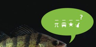 Can You Decode These Riddles?