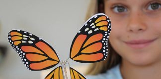 Fluttering Butterfly Craft