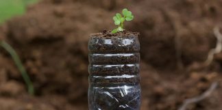 Slow and Steady Planters