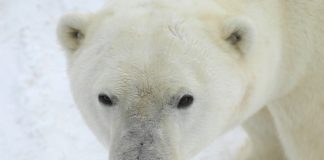 It’s another Day in the Life!