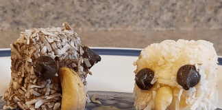 Coconut Mallow Eagle