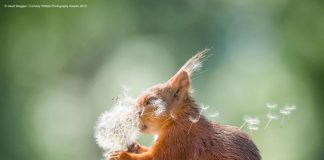 12 of the funniest animal pictures EVER!! Part 2