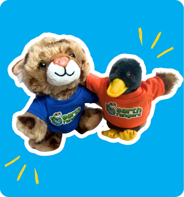 Help Your Child to Bring Back the Wild!