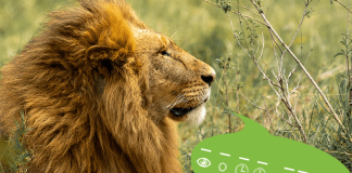 Decode These Riddles – Round 3