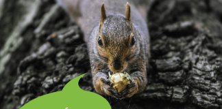 Decode These Riddles – Round 2