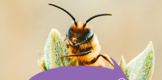 Pun-tastic Riddles #IX