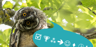 Decode These Riddles Round #4