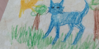 Make Your Own Earth-Friendly Paper