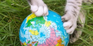 Let’s Go Wild for Earth Month!