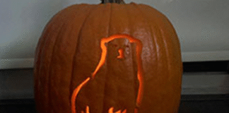 It’s an Earth Rangers Halloween!