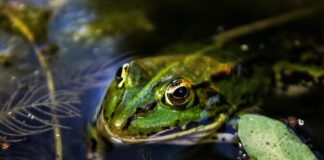 Keep Our Rivers Clean!